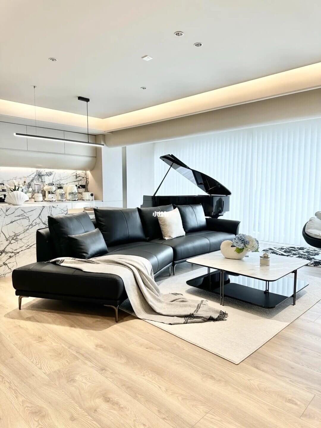 客厅艺术，或许你喜欢黑色沙发吗